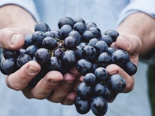 Before asking Jesus to make new wine of you, study winemaking