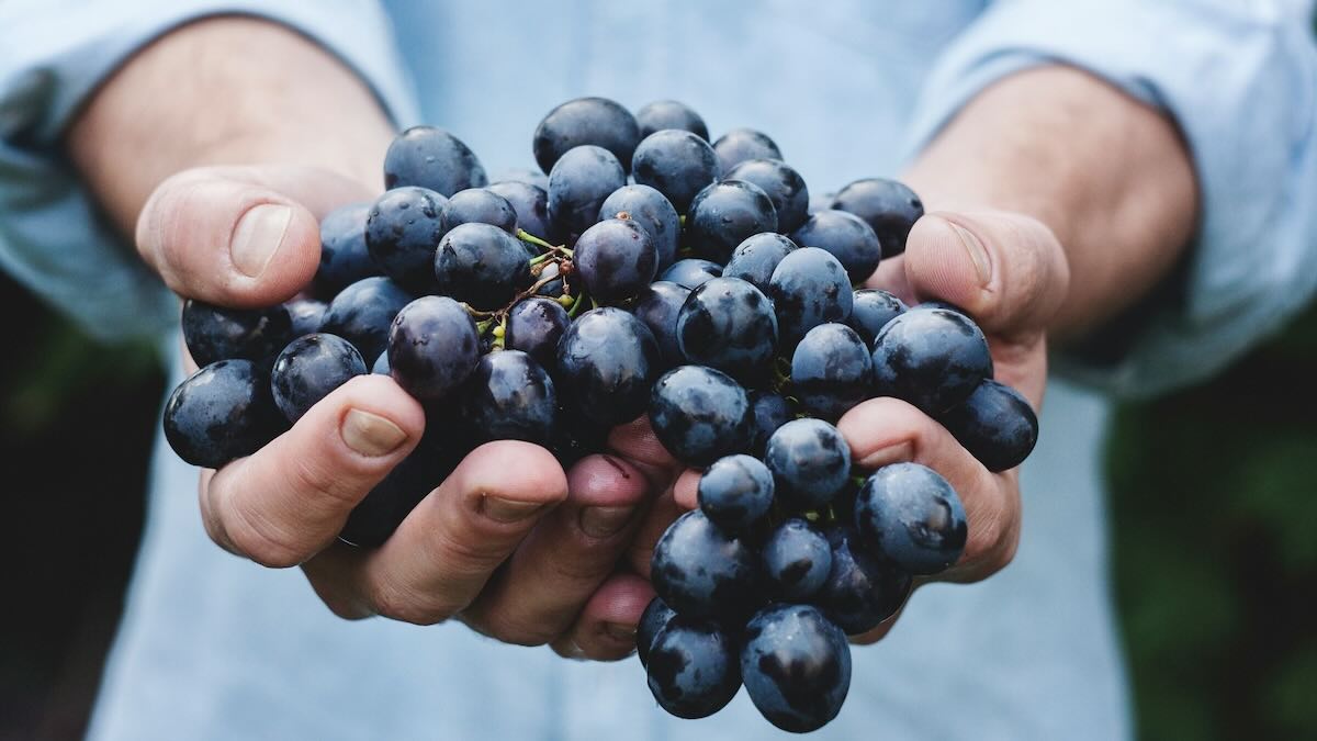 Before asking Jesus to make new wine of you, study winemaking