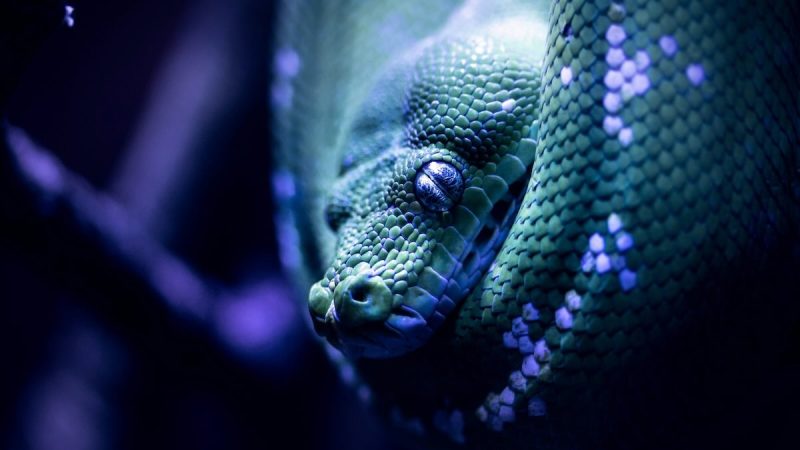 Mark 7:20 – patriarchy creates the 7 deadly sins