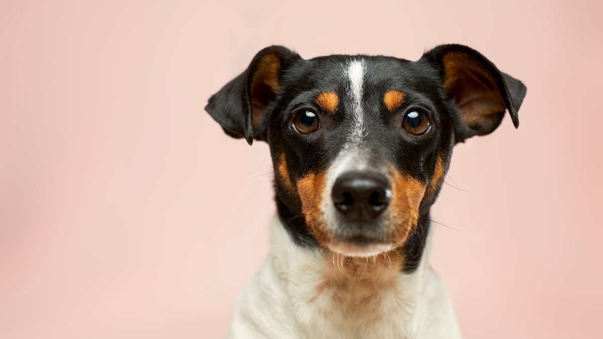 New Earth tools #18 – Sincerity