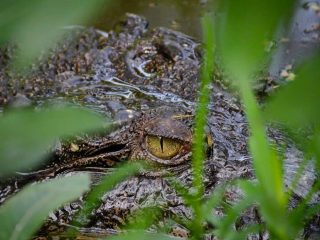 New Earth 101 – God is uncompromising; you must be too