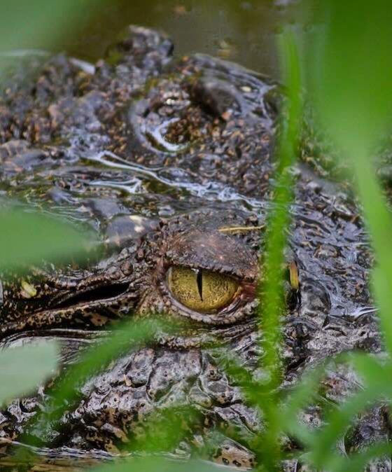 New Earth 101 – God is uncompromising; you must be too