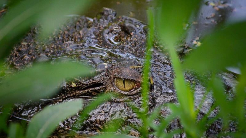 New Earth 101 – God is uncompromising; you must be too