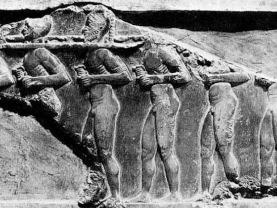 Genesis 17 – God traumatises His own creation