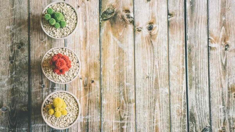 John 14:6 – Humans are three-centred beings